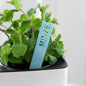 May include: A light blue plant label with the word "MINZE" written on it in white. The label is stuck in a pot of green mint.