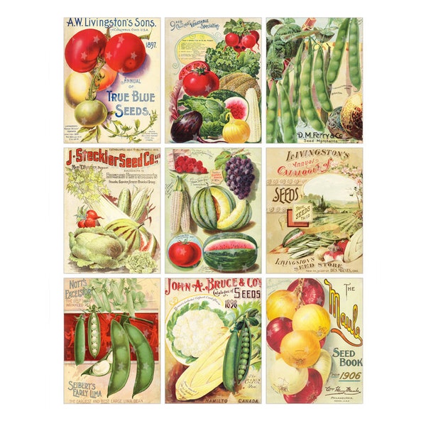 Vintage VEGETABLE Seed Packets - Digital Collage Sheet - Instant PDF | JPEG Download - Scrapbooking - Crafting - 300ppi