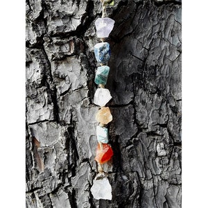 May include: A string of seven chakra stones, each a different color, hanging from a tree branch. The stones are amethyst, lapis lazuli, green aventurine, clear quartz, carnelian, orange calcite, and clear quartz.