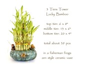 3 Tiers Lucky Bamboo Tower in a ceramic fisherman vase. Live indoor plants for Good Luck Housewarming gift, meditation gift and Get Well