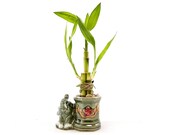 Bamboo Plants 3 stalks Lucky Bamboo in Lucky Elephant Vase. Surprise girlfriend, daughter granddaughter mother aunt grandma. Fast Shipping