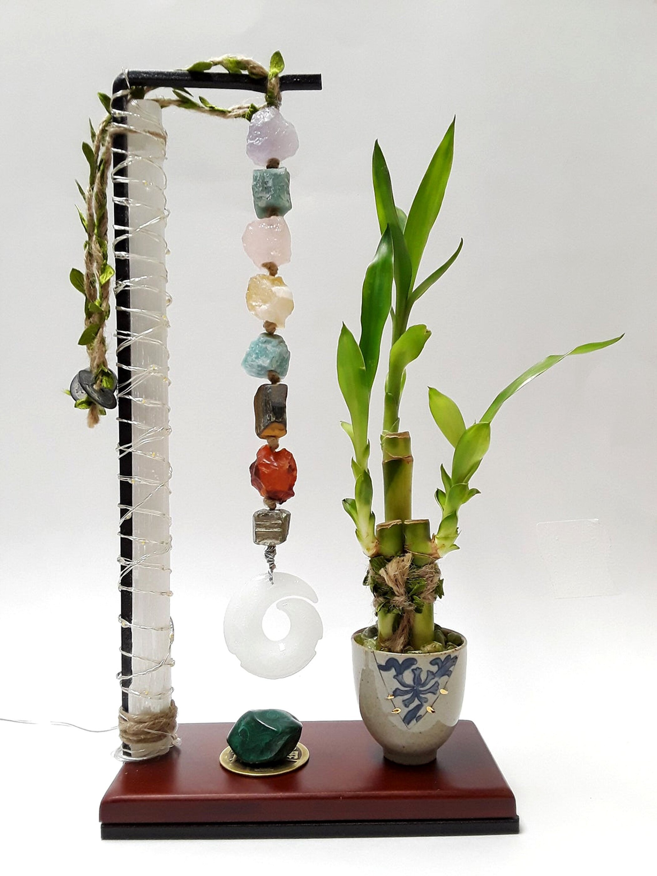 Golden Prosperity: The Vibrant Lucky Bamboo Stem