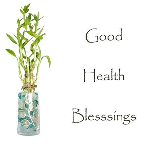 May include: A green lucky bamboo plant in a clear glass vase with a blue and gold leaf design. The vase is filled with small blue and white stones. The text "Good Health Blessings" is written in black on a white background.