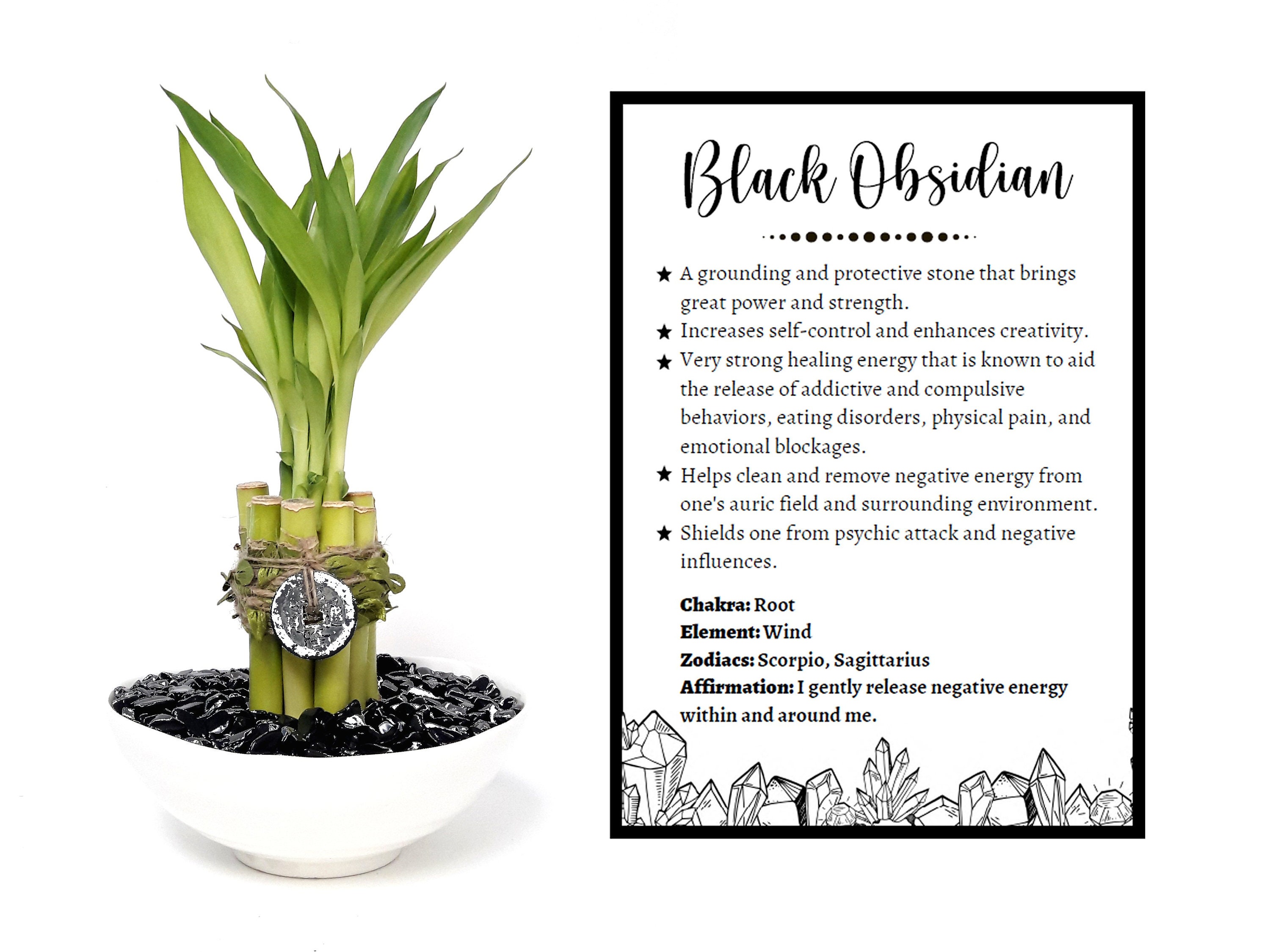 1. Verdant Symbol Of Prosperity: Lucky Bamboo In A Vase