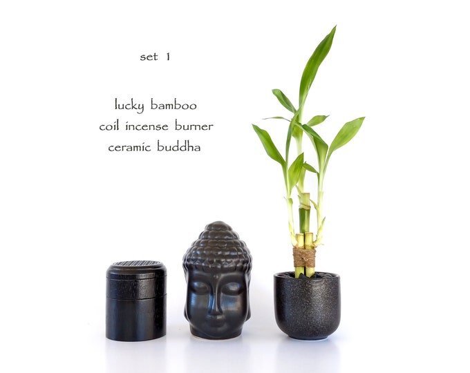 Spiritual Gift Décor. Meditation beginner Kit. Lucky Bamboo, Coil Incense Burner, Brass Singing Bowl, Salt Rock Candle, Sage, Palo Santo