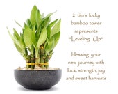 Level Up to a New Path. 2 tiers Lucky bamboo gift set with Natural crystal vase filler. Housewarming gift, meditation gift and Get Well