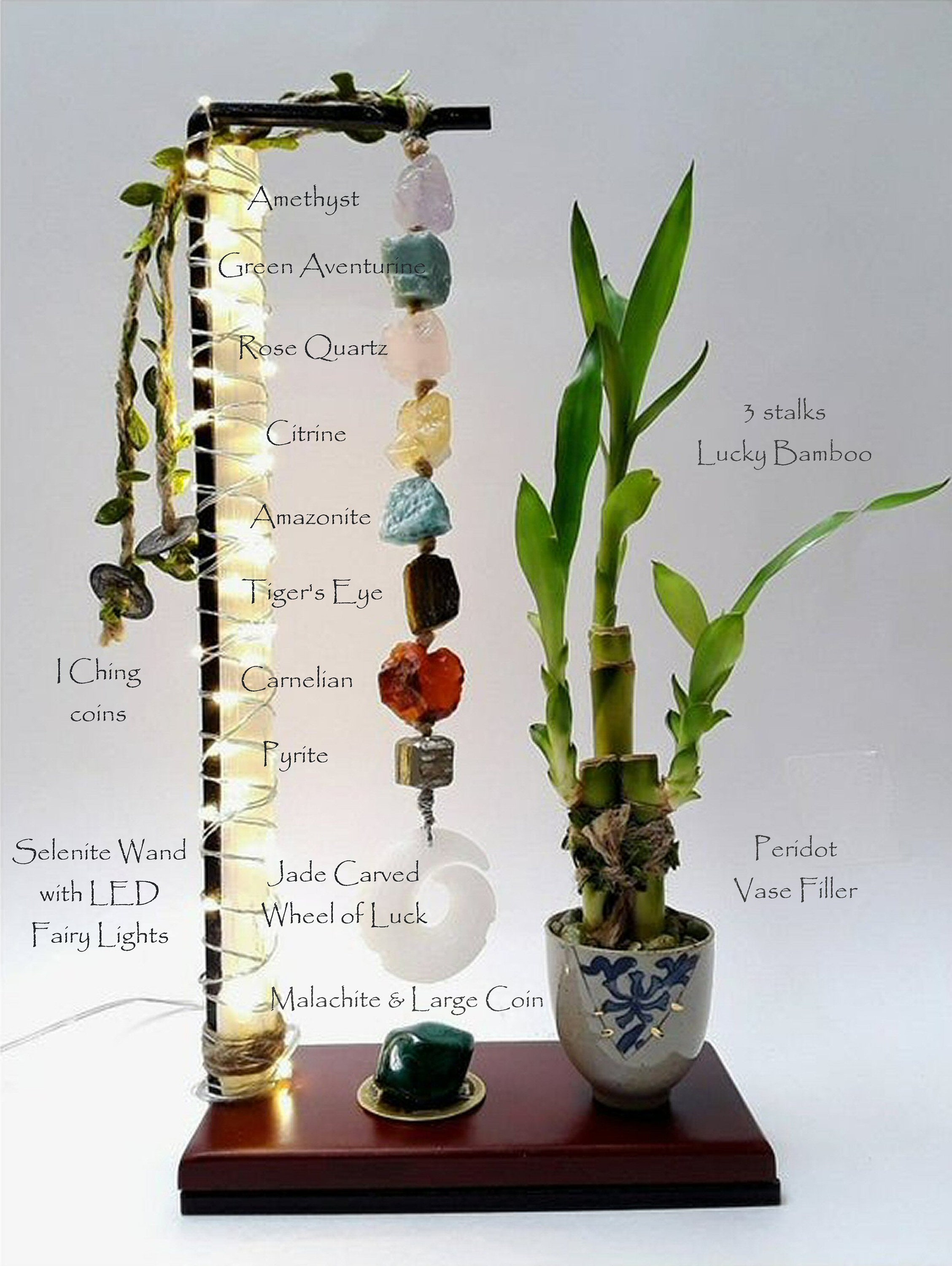 Golden Prosperity: The Vibrant Lucky Bamboo Stem