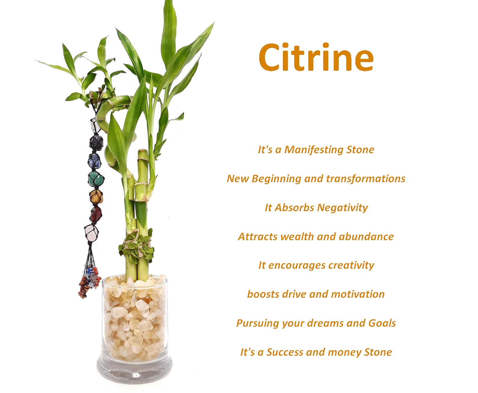 Lucky Bamboo In Neutral Pottery Local Delivery Only In South Milwaukee, WI - PARKWAY FLORAL INC