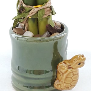 Indoor Live Plants 3 stalks of lucky bamboo arrangements in a green and yellow 3D Turtle vase. US seller, 2 days fast shipping. image 5