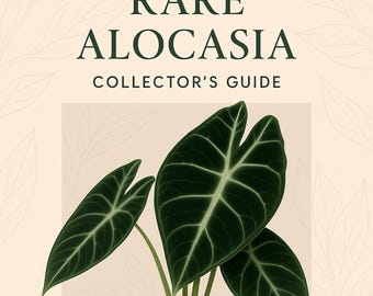 Rare Alocasia Collector’s Guide – Velvet Types & Dormancy Tips + Bonus Audio (Printable PDF)