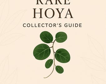 Rare Hoya Collector’s Guide – Expert Wax Plant Care + Bonus Audio (Printable PDF)