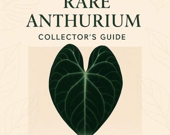 Rare Anthurium Collector’s Guide – Velvet Leaf Care & Humidity Tips + Bonus Audio (Printable PDF)