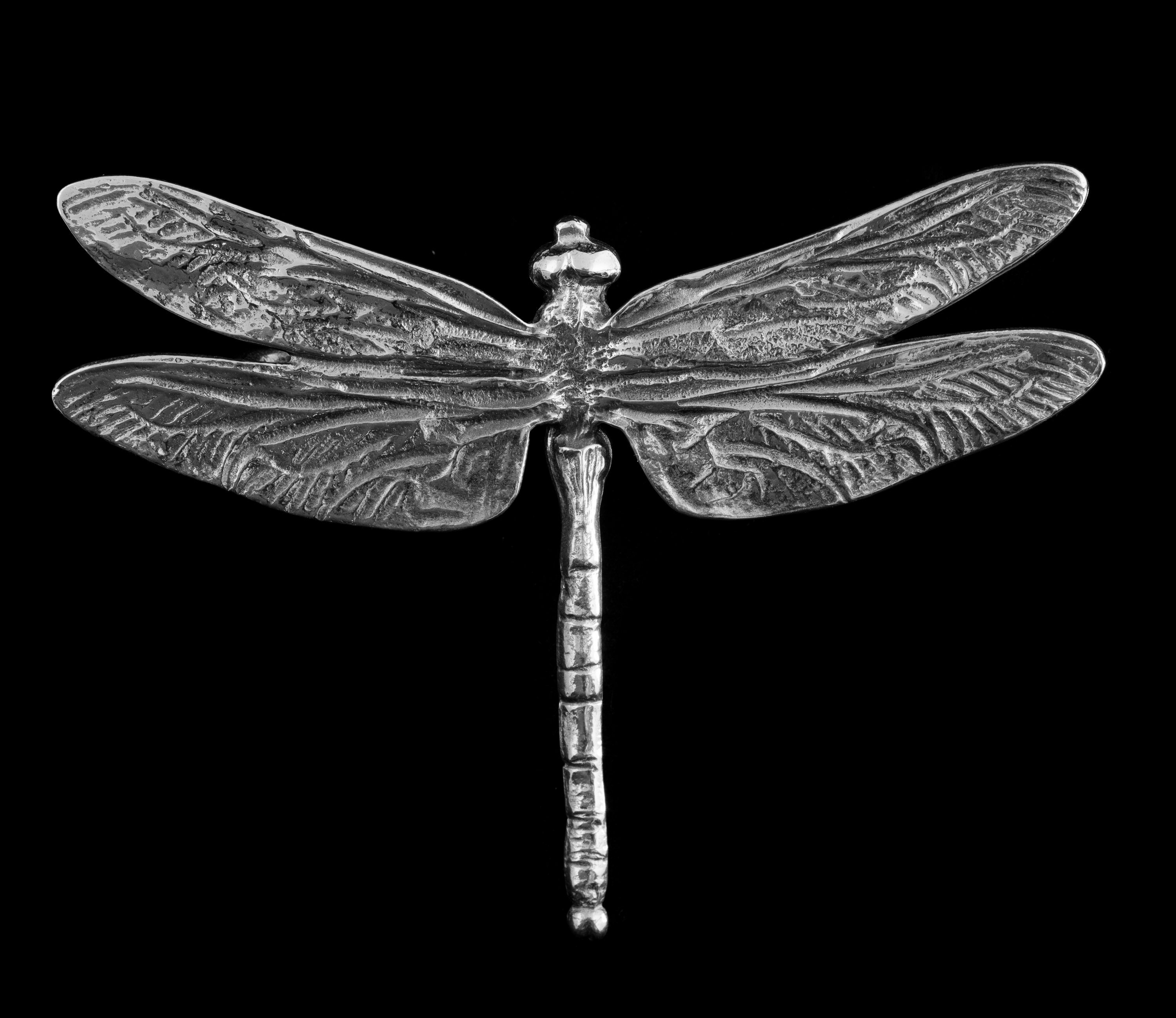 Pave Dragonfly Brooch main image 1