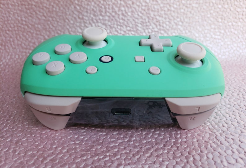 Pastel Custom Nintendo Switch Wireless Pro Controllers Read Etsy
