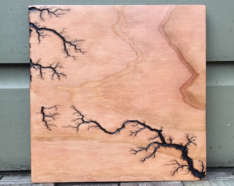 Lichtenberg Fractal Burn Artwork #43