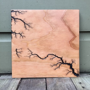 Lichtenberg Fractal Burn Artwork #43