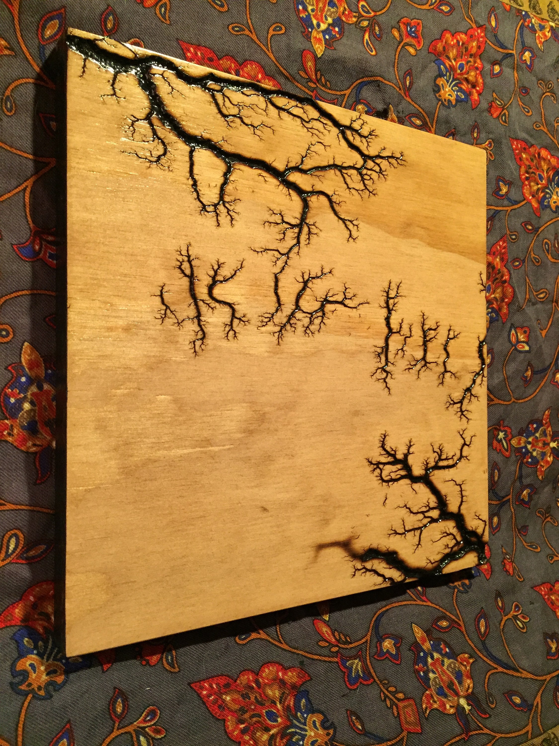 Lichtenberg Fractal Burn Artwork 39 - Etsy España