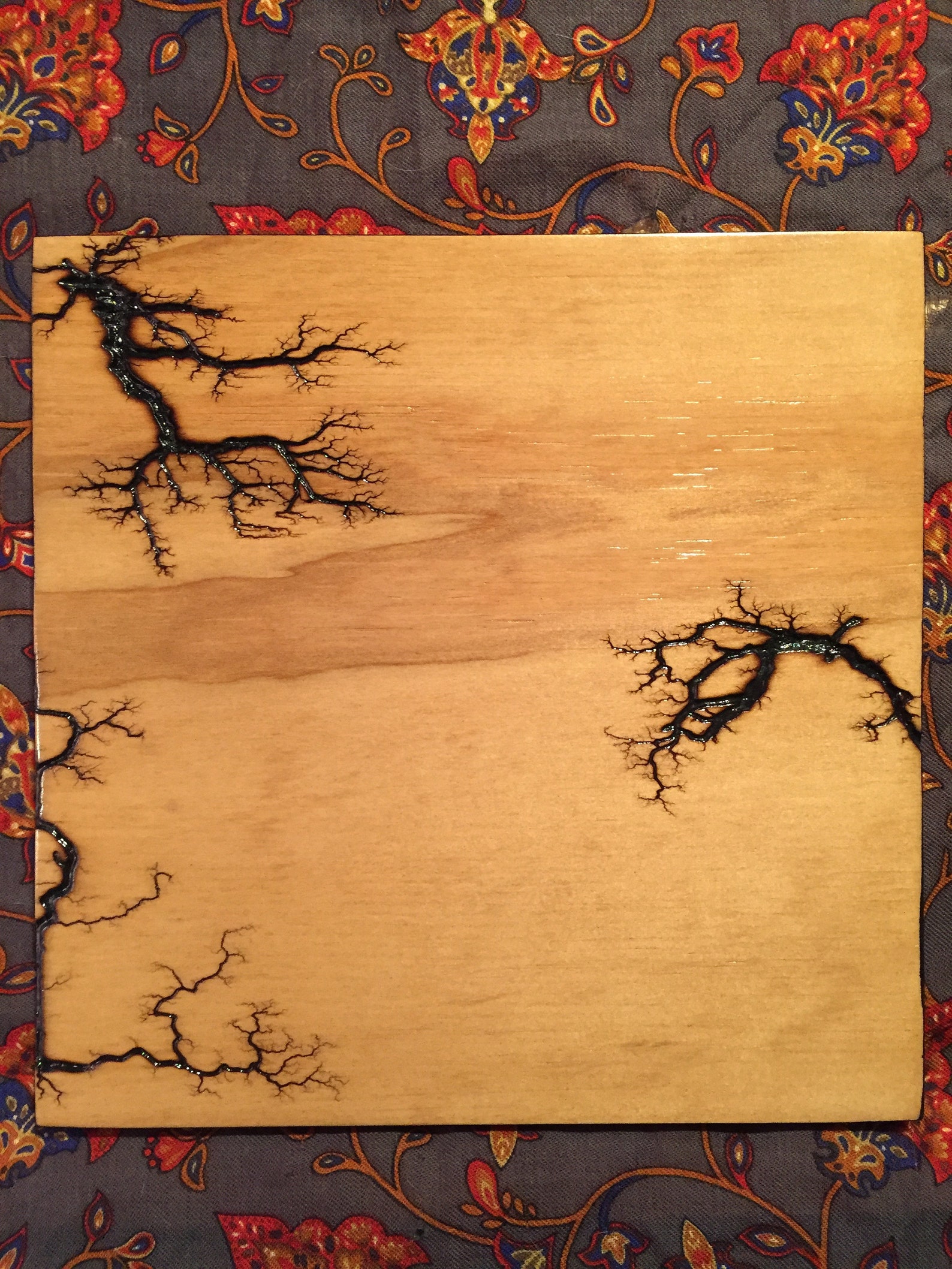 Lichtenberg Fractal Burn Artwork 36 - Etsy España