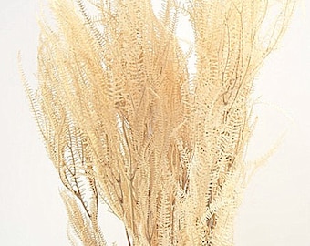 24-4oz BLEACHED ADIANTUM FERN Decorfiller decorfillerHome DecorVaseDecorCenterpiece DecorFaux FlowerSilk FlowersFlower Bouquet