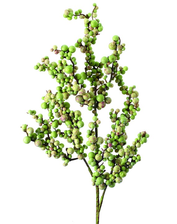 500 G Lierre Sprays avec Berry Clusters Fresh Natural Native 500 G Lierre Sprays avec Berry Clusters Fresh Natural Native