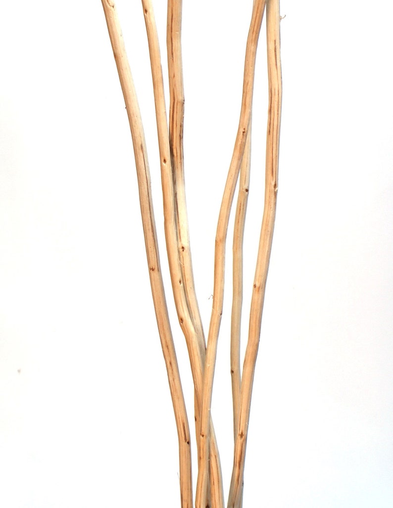 5FT Natural Kamboi Curly Sticks decorative branches vase Etsy