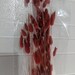 30pc RED Rabbit Tails/ Dried Floral/ Dried Reed Pampas Fluffy/bunny ...