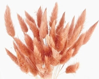 30pc Deep Peach Bunny Tails | DIY Dried Florals| Dried Reed decor | Red Bunny Tails | Home accessories | Lagurus |Mini Pampas | Vase Fillers