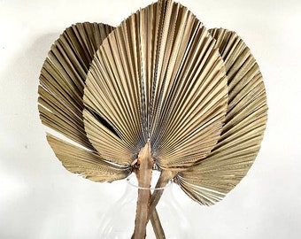 3 Feuilles De Palmier Séchées Naturelles - Décoration Boho Pour Maison, Mariage, Gâteau & Eventail