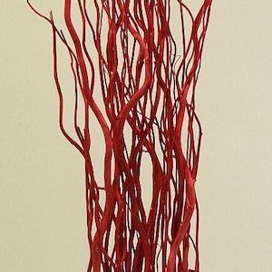 Tall Festive Red Curly Willow Branches Bundle | Red Decor |Trendy Red Sticks | vase fillers |vase branches | diy decor Christmas decor