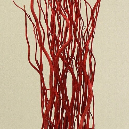 Tall Festive Red Curly Willow Branches Bundle Red Decor Etsy