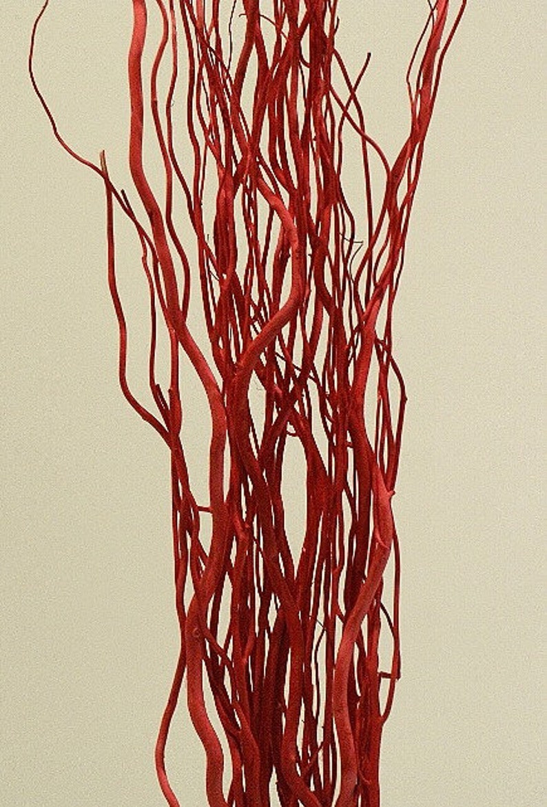 4ft Tall Festive Red Curly Willow Branches Bundle Red