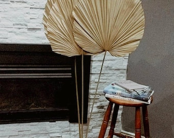 4ft Large Natural Anahaw Stems | Dried Palms | Natural Palm Leaves | Dried Palm Spears | Dried Floral Decor DIY | Large Palm Leaves | DIY