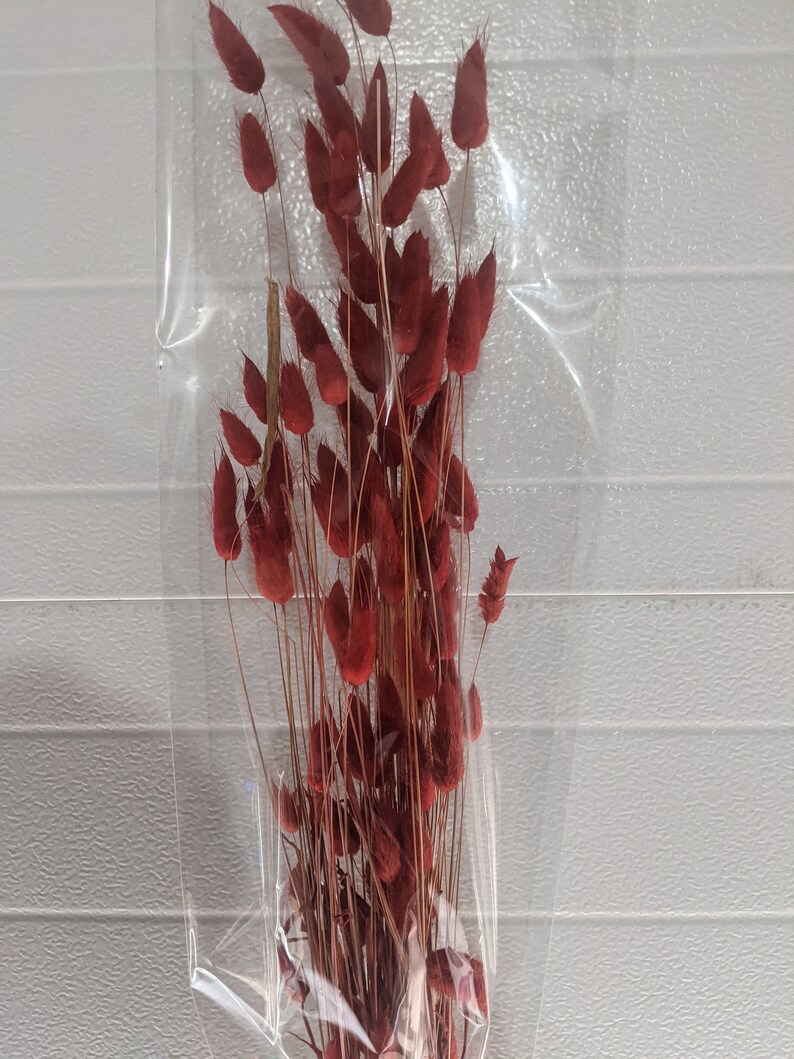30pc RED Rabbit Tails/ Dried Floral/ Dried Reed Pampas | Etsy