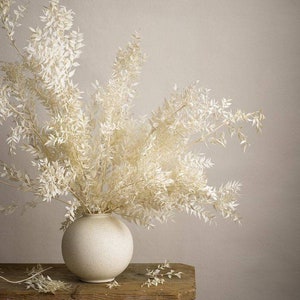 Off White Bleached Italian Ruscus Bunch | Dried floral decor| White Ruscus Stems / DIY dried flower arrangements / Bleached Ruscus bundle