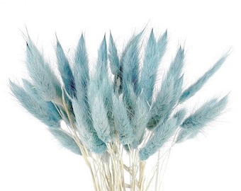 30Stk Baby BlauEr Hasenschwanz | DIY Getrocknete Blumen| Getrocknetes Schilf Dekor | Blaue Hasenschwanz | Wohnaccessoires | Lagurus | Mini Pampas | Vasenfüller