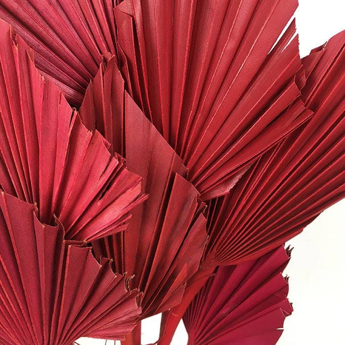 Red Palm Spears | Dried Palm Spears | Palm Leaf |DIY arrangements | Red Flowers |Boho decor| Red Palm Leaves | Dried Florals |cake topper