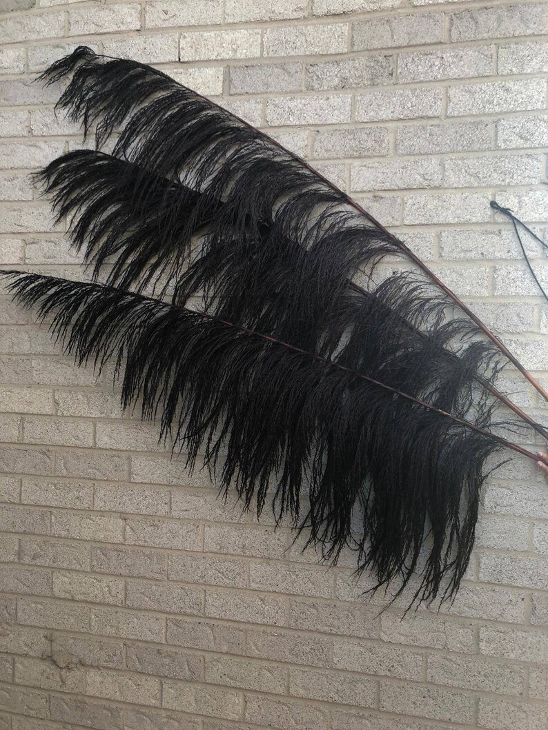 Tall Black 6ft UVA Stalk/Thin Pampas Grass/Black Natural Etsy