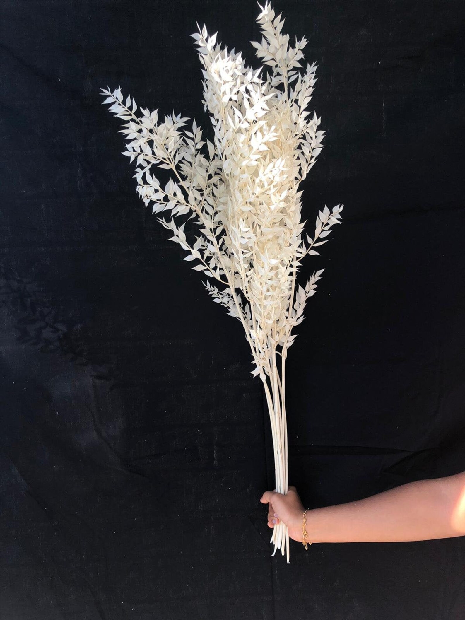 Bleached Italian Ruscus Bunch Dried Floral Decor White Etsy