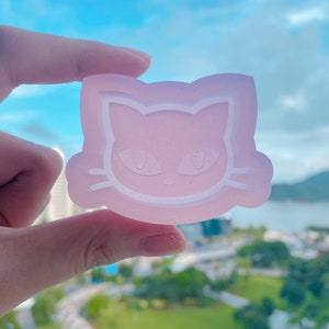 Cat silicone resin shaker mold