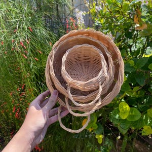 Puede incluir: Un conjunto de cuatro cestas redondas tejidas de diferentes tamaños. Las cestas son de color beige natural y tienen asas en forma de lazo. El fondo presenta follaje verde y flores rojas.