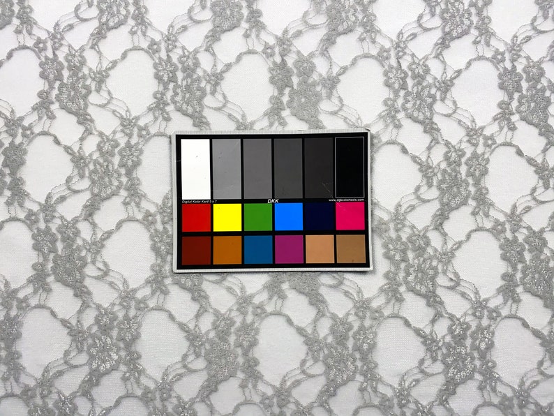 May include: Silver lace fabric with a delicate floral pattern. The fabric is sheer and has a soft, flowing texture.