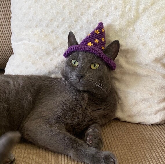 Crochet Cat Wizard Warlock Hat | Etsy 