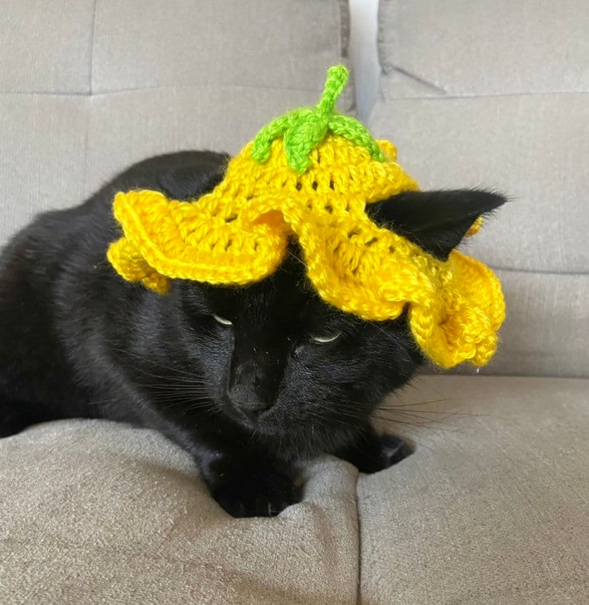 Crochet Flower Cat Hat - Etsy India