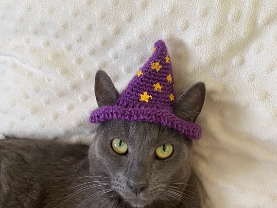 Crochet Cat Wizard Warlock Hat | Etsy 