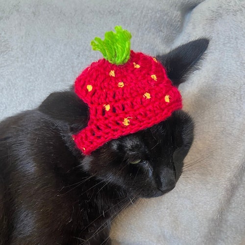Mushroom Crochet Cat Hat Etsy