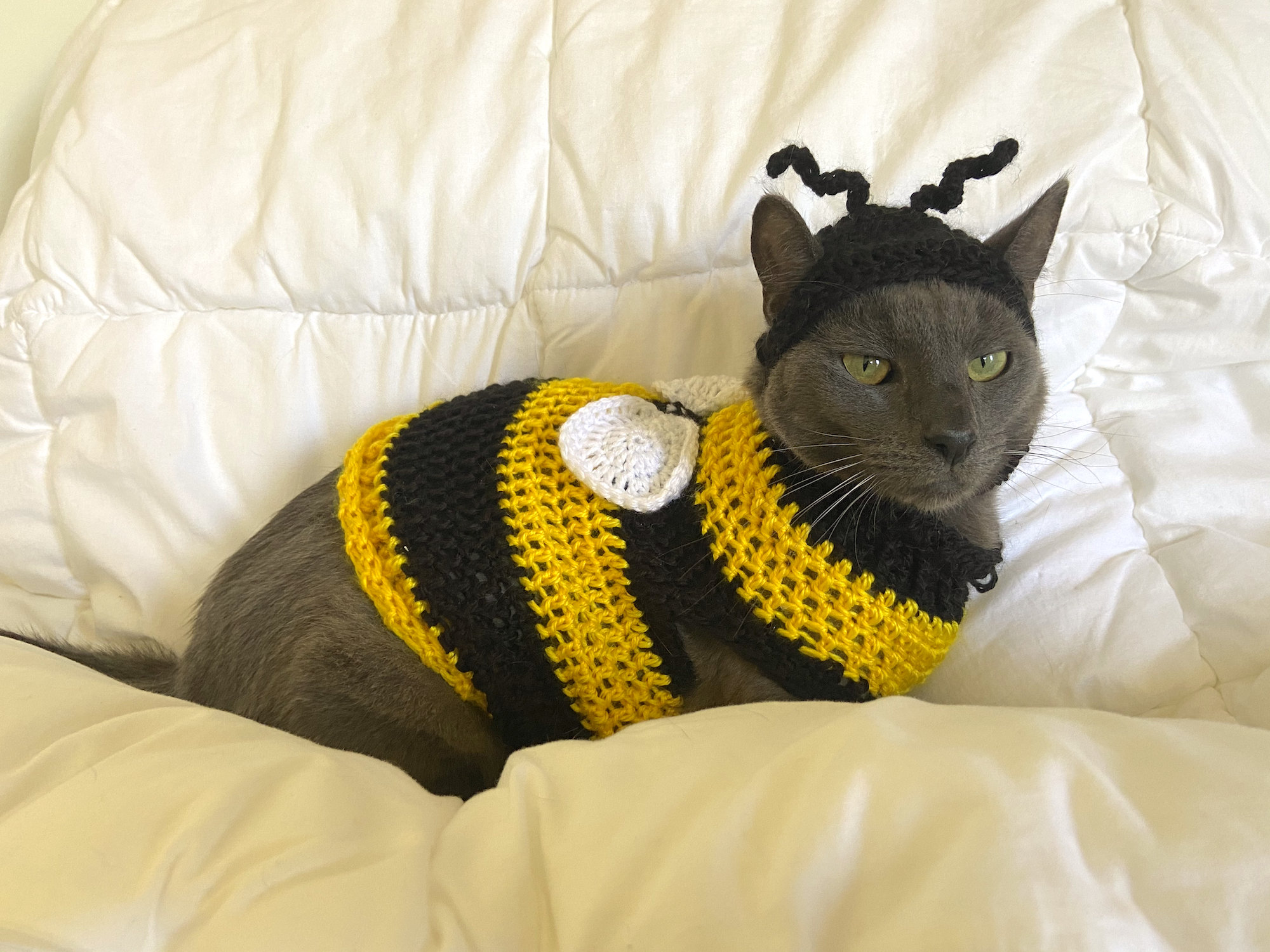 Suéter y sombrero de gato abeja de - Etsy