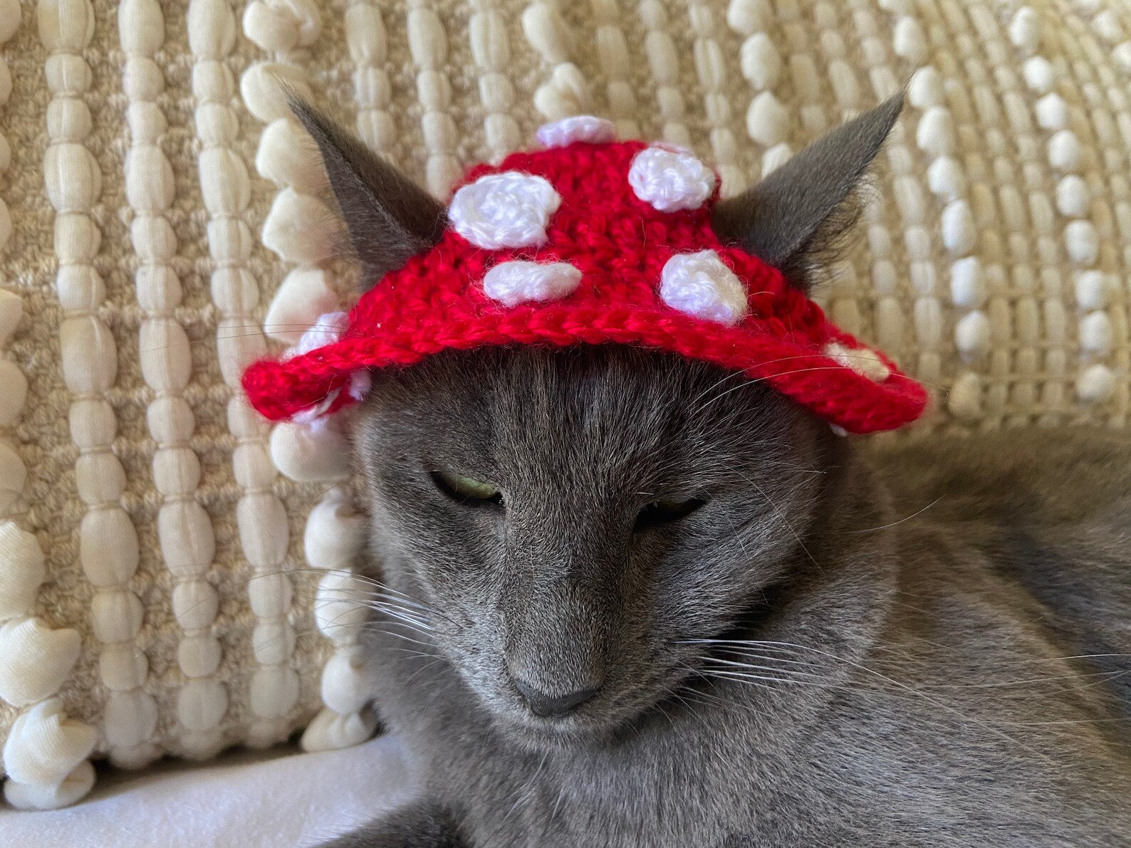 Mushroom Crochet Cat Hat Etsy