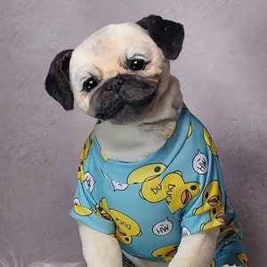 Puede incluir: Un peluche de carlino con pelaje beige claro y orejas y hocico negros, que viste una camiseta azul claro de manga corta con un estampado de patitos amarillos y bocadillos blancos con el texto HW. Un pequeño patito de goma amarillo está delante.