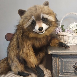Realistic artificial stuffed raccoon toy made of faux fur and tinted with paints. It has cute exotic look with black glass eyes and black polymer clay nose. Has opened mouth with a tongue and teeth.