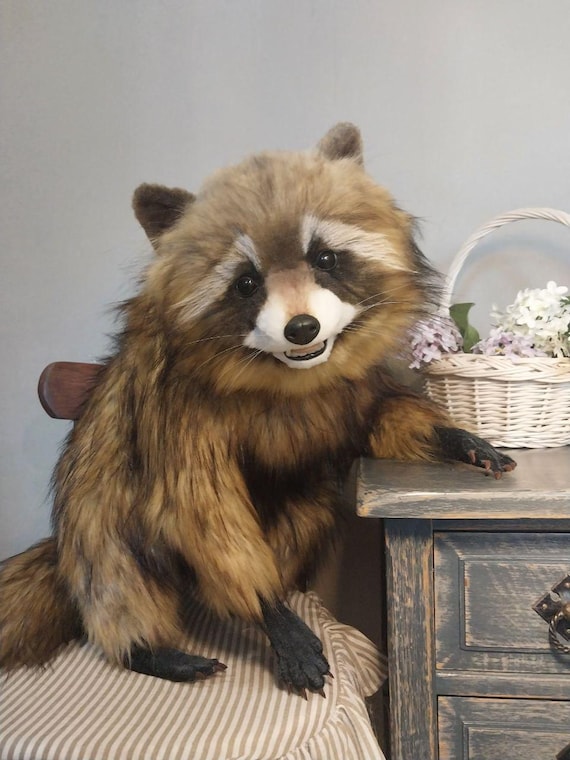 Realistic Raccoon OOAK Toy: Artist Art Doll, Handmade Stuffed Animal, Soft Sculpture, Collectible Faux Taxidermy, Lifelike Replica, Decor